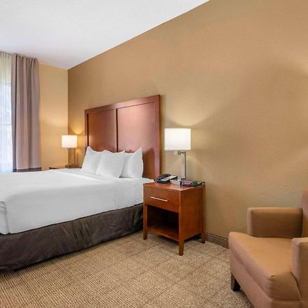 Comfort Inn & Suites Northeast - Gateway St. Petersburg Esterno foto