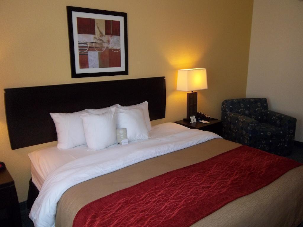 Comfort Inn & Suites Northeast - Gateway St. Petersburg Esterno foto