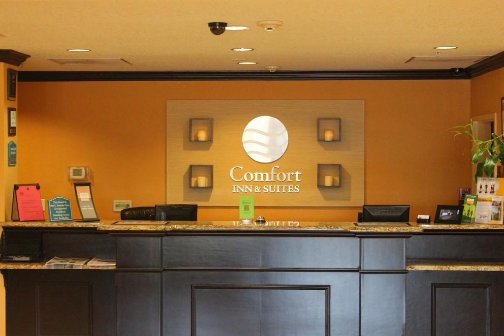 Comfort Inn & Suites Northeast - Gateway St. Petersburg Esterno foto