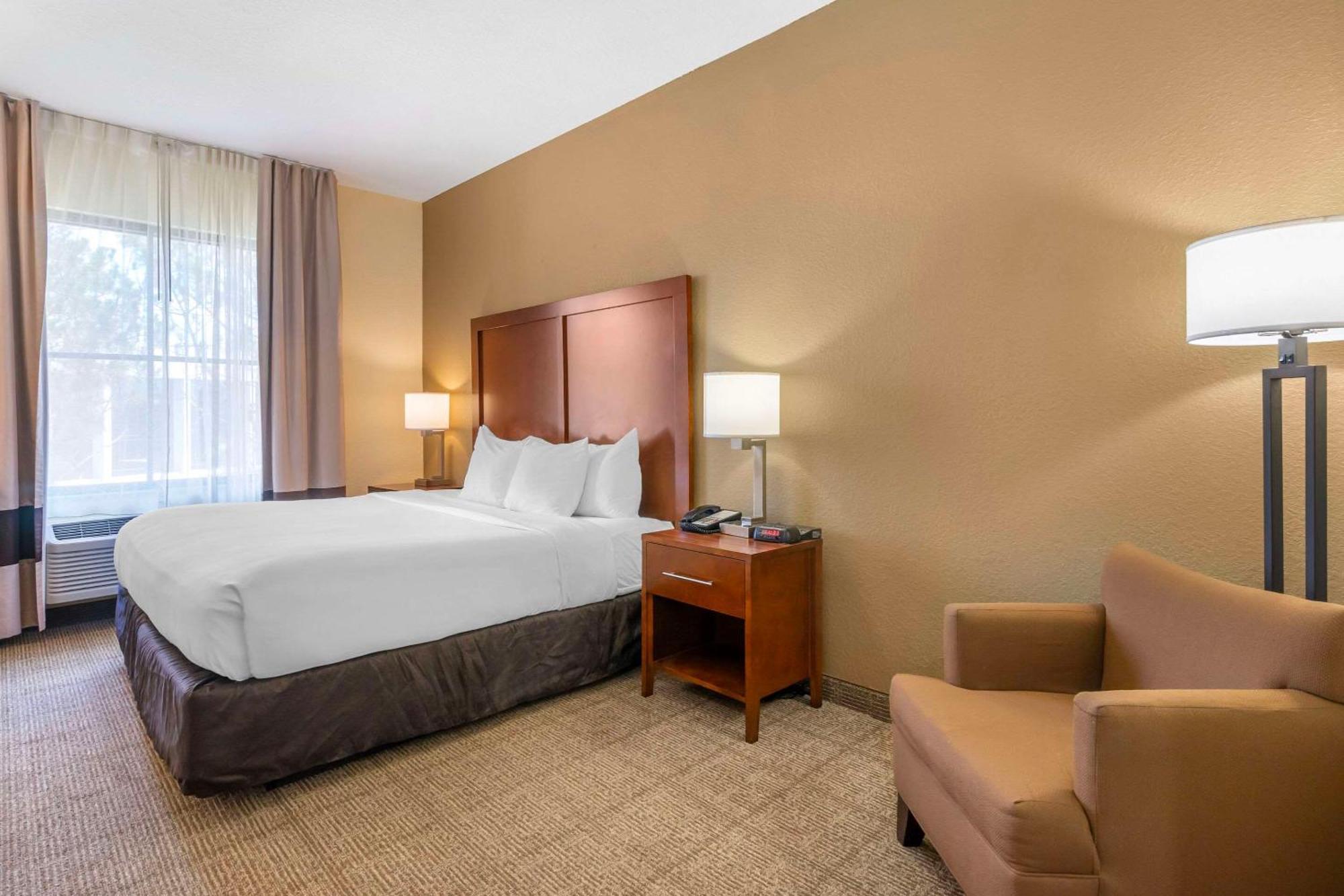 Comfort Inn & Suites Northeast - Gateway St. Petersburg Esterno foto