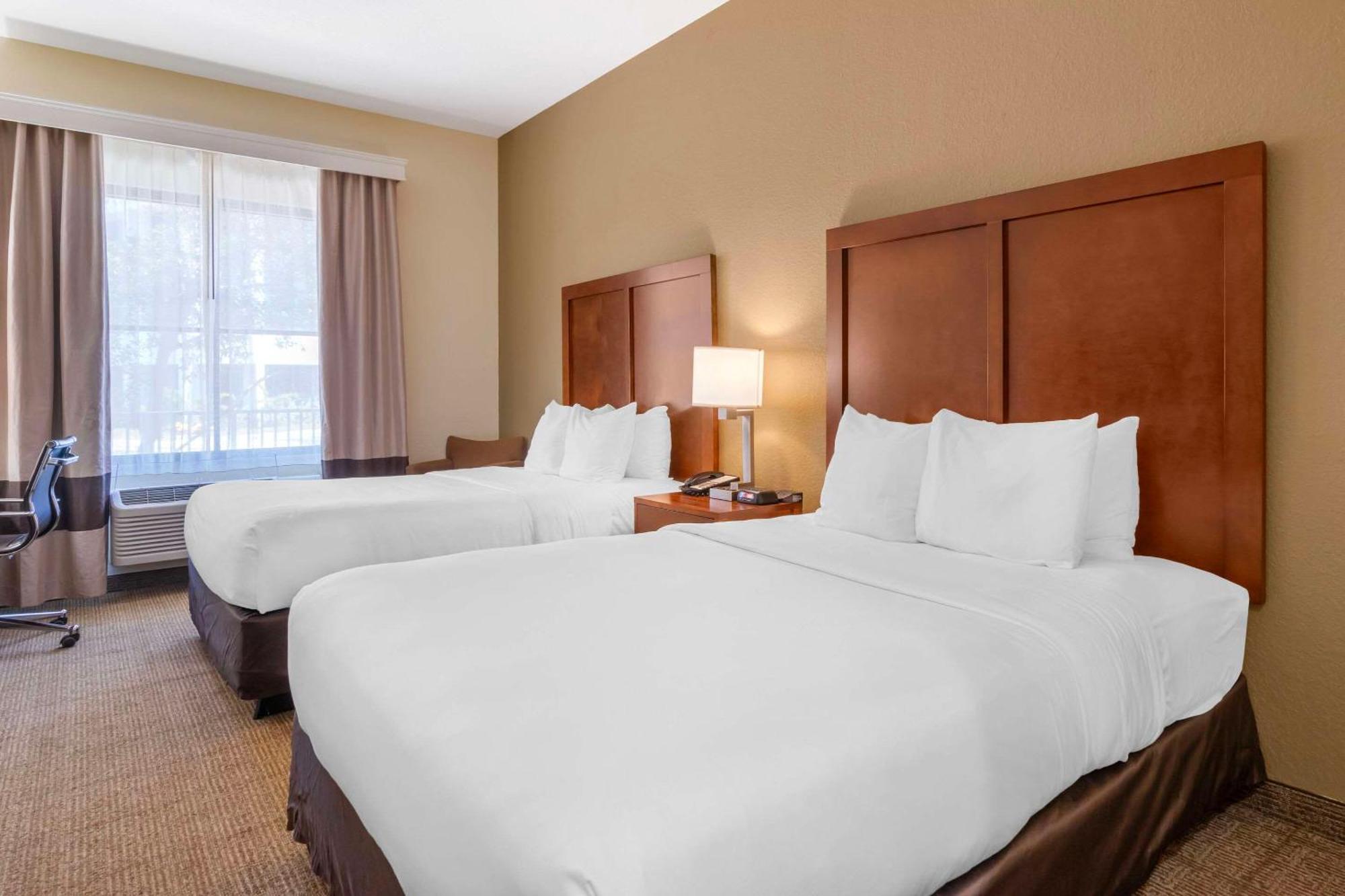 Comfort Inn & Suites Northeast - Gateway St. Petersburg Esterno foto