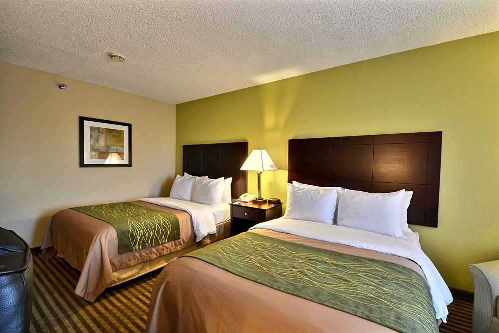 Comfort Inn & Suites Northeast - Gateway St. Petersburg Esterno foto